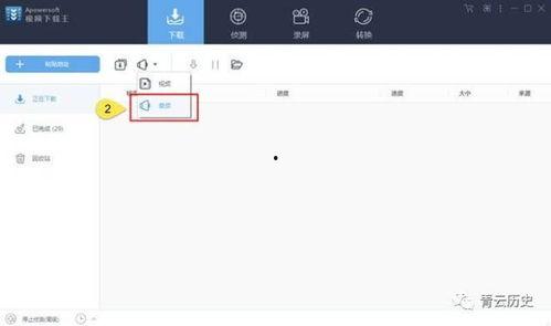 国产盲跑视频下载软件