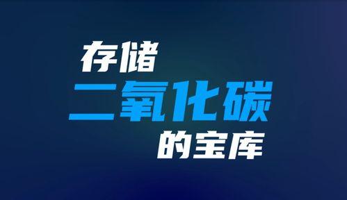 你懂的国产在线微视频,捕捉时代光影，展现生活百态