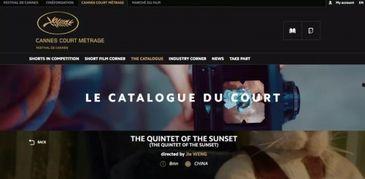 ywh视频在线观看网站国产,探索ywh视频在线观看网站的独特魅力