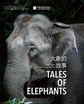 国产大象回家视频,国产大象迁徙之旅的温馨瞬间