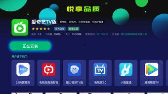 首页国产字母圈免费视频,精彩内容一网打尽